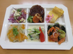 6月ヘルシープレート2