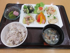 4月ヘルシープレート1