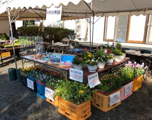 PXL_20251115_001954499