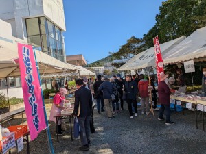 PXL_20251115_023036868