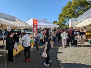 PXL_20251115_023044537