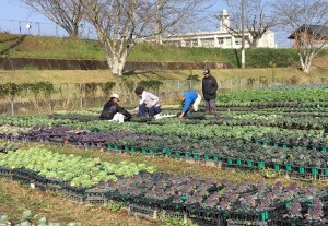 花卉班　作業風景