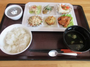 5月ヘルシープレート